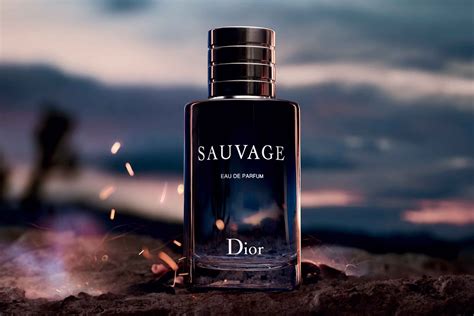 dior sauvage 30 ml edp|Dior Sauvage compare prices.